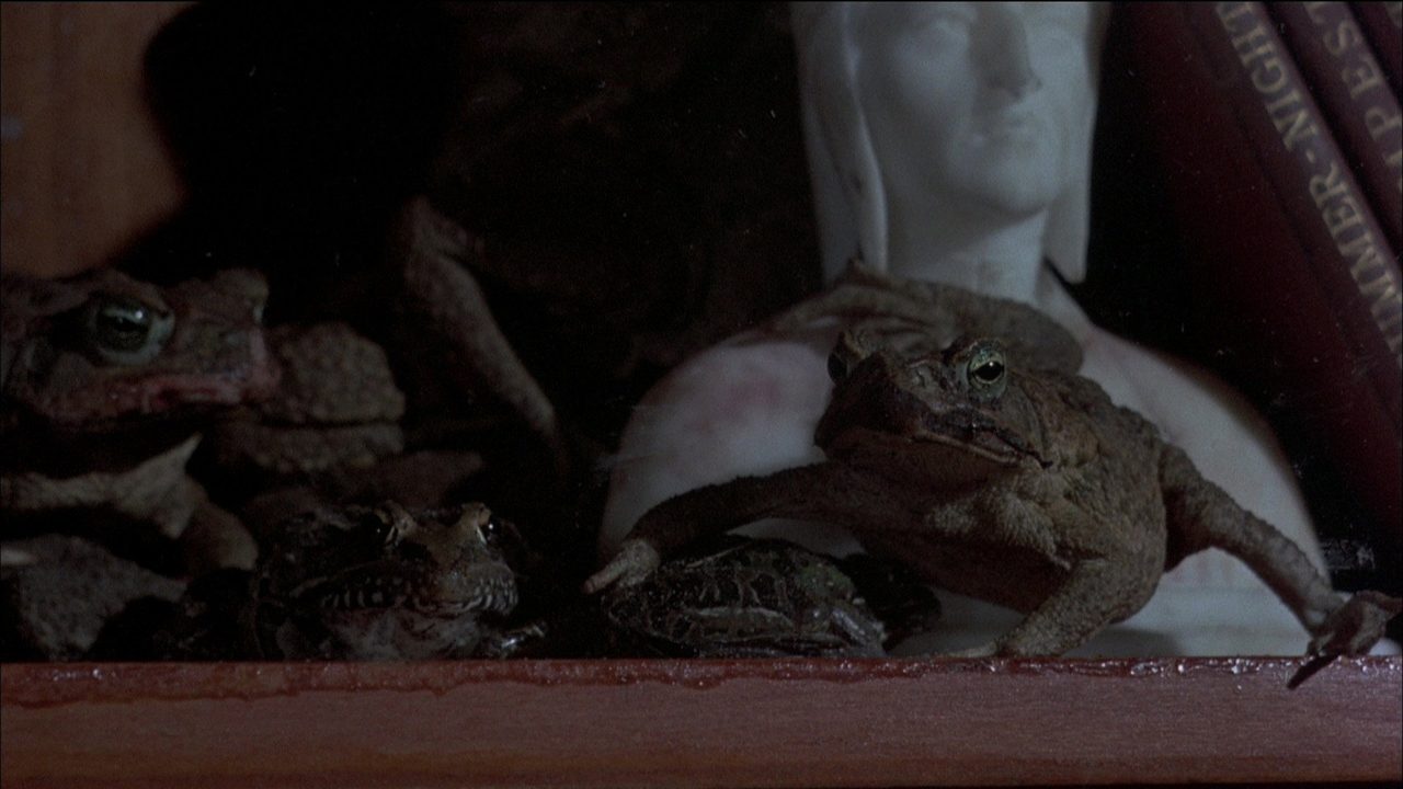 Image from Frogs
