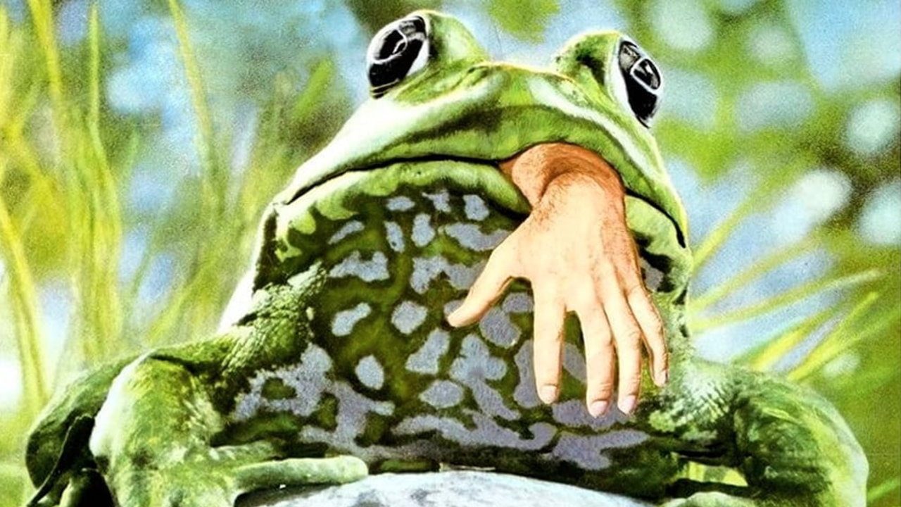 Image from Frogs