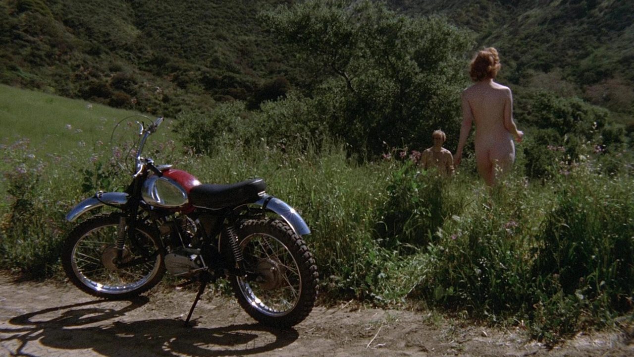 Image from Invasion of the Bee Girls