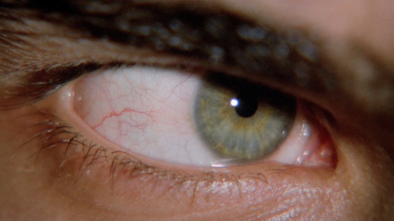 Image from The Bloodstained Shadow
