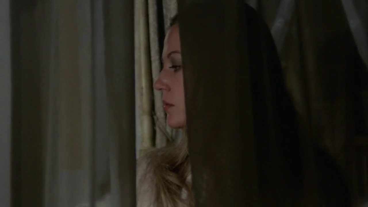 Image from The Fox with the Velvet Tail