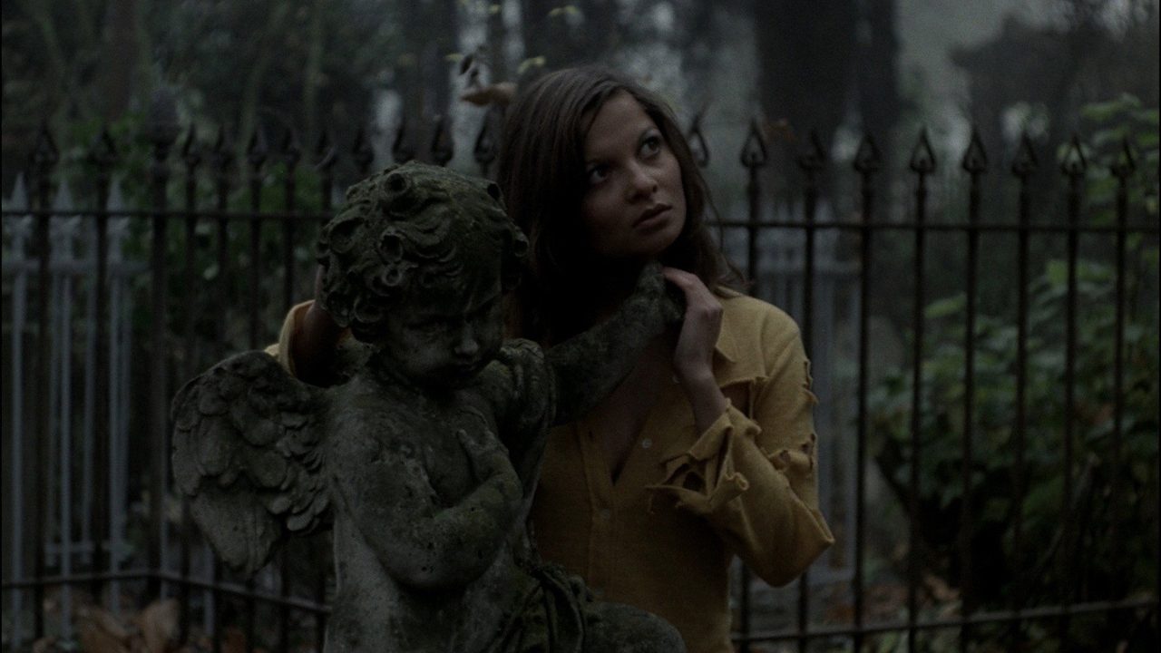 Image from The Iron Rose